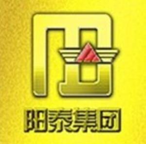 陽城縣陽泰集團實業