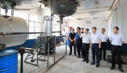 集團領導深入實業公司調研，聚焦轉型發展重點